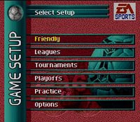 Fifa Soccer 96, capture d'écran